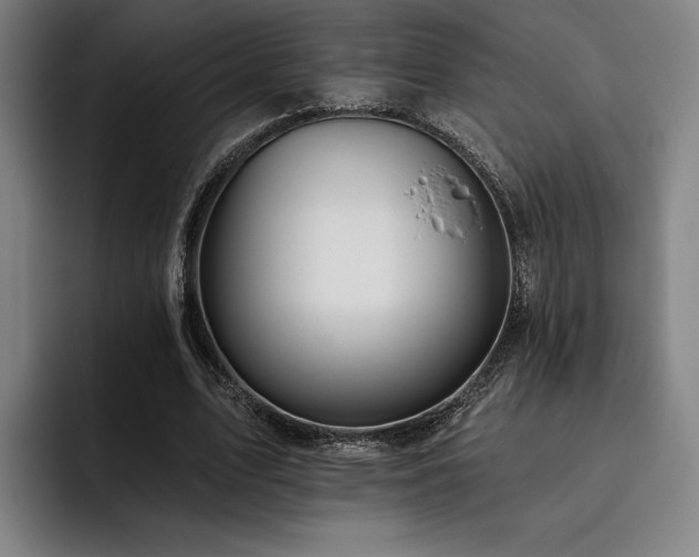 X0000093470583200710121426