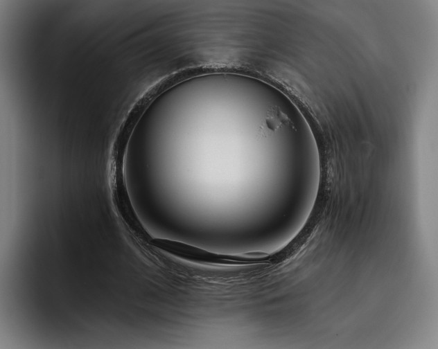 X0000093470584200710121426