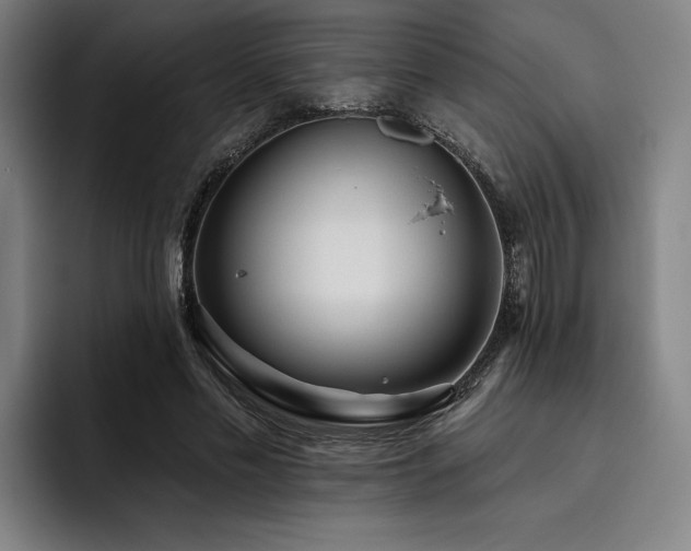 X0000093470589200710121426