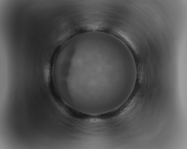 X0000093470590200710121426