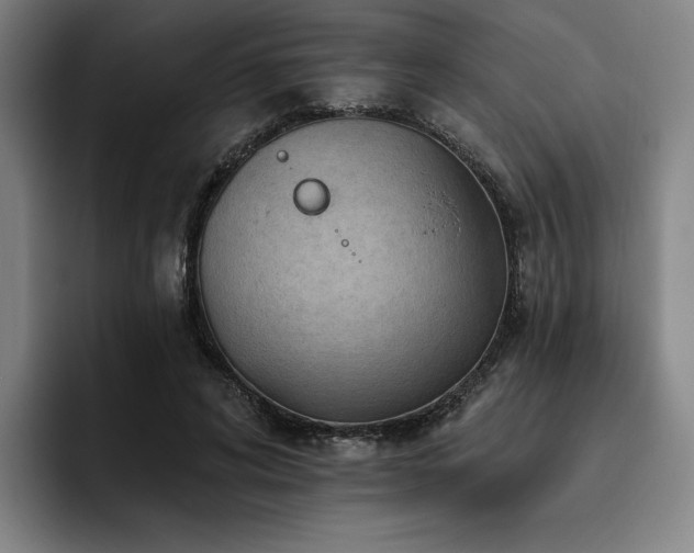 X0000093470592200710121426