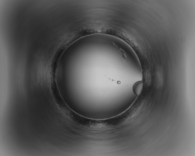 X0000093470594200710121426