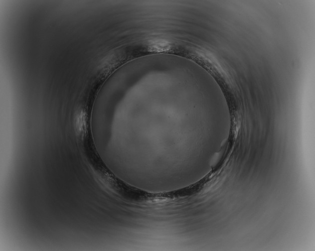 X0000093470598200710121426