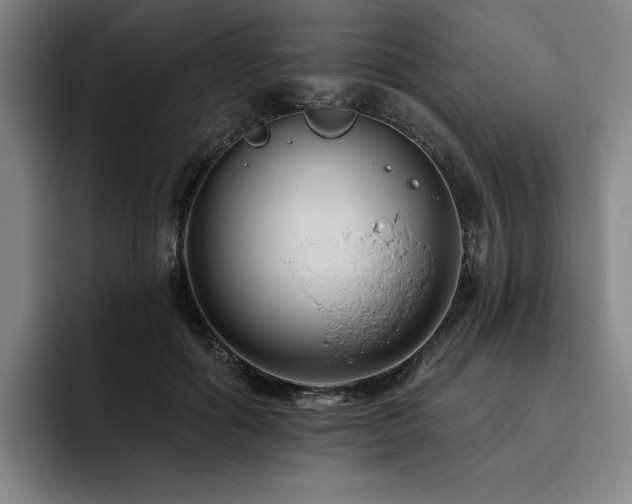 X0000093470602200710121426