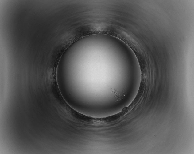 X0000093470605200710121426