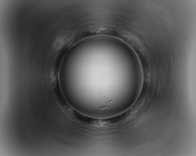 X0000093470607200710121426