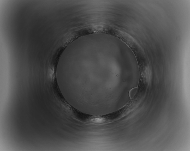 X0000093470610200710121426