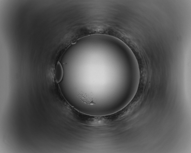 X0000093470612200710121426