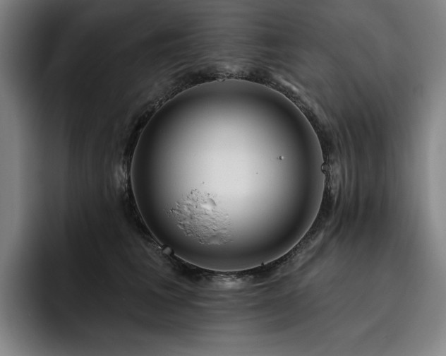 X0000093470613200710121426