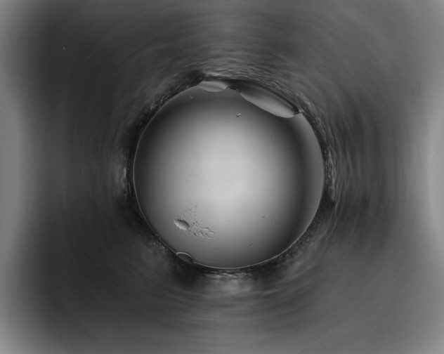 X0000093470615200710121426