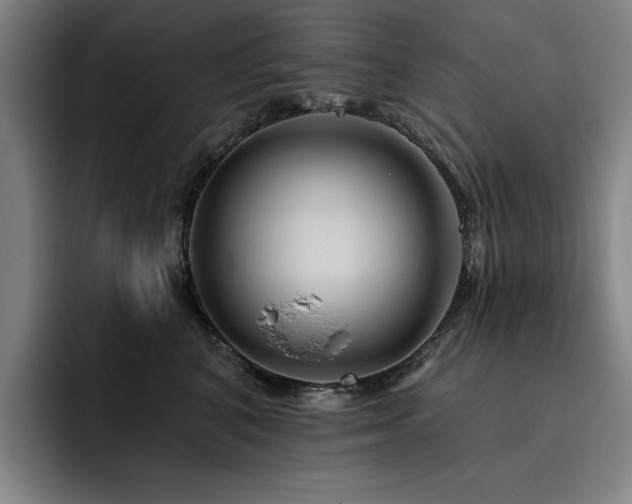 X0000093470616200710121426