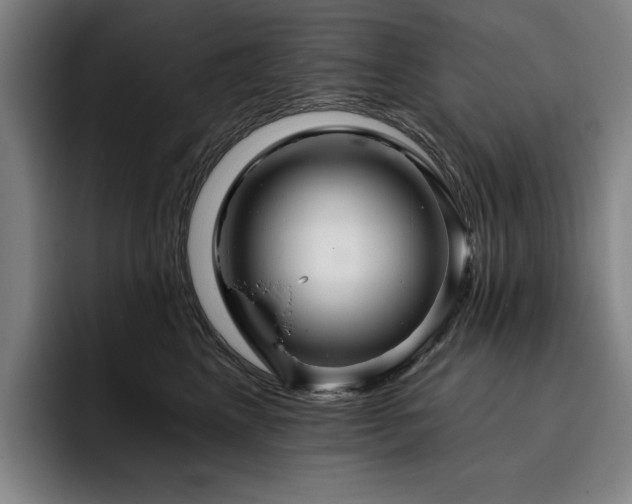 X0000093470617200710121426