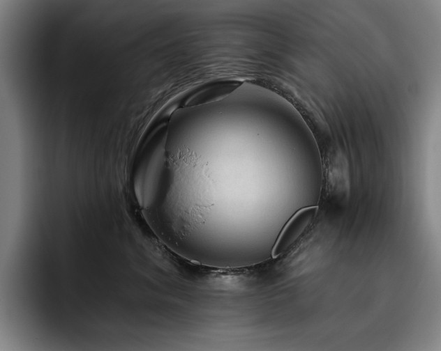 X0000093470620200710121426