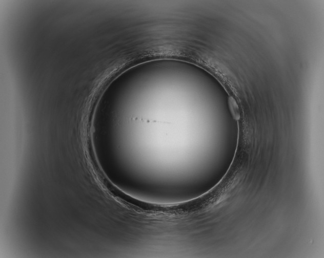 X0000093470625200710121425
