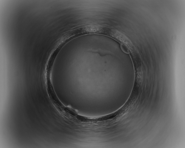 X0000093470626200710121425