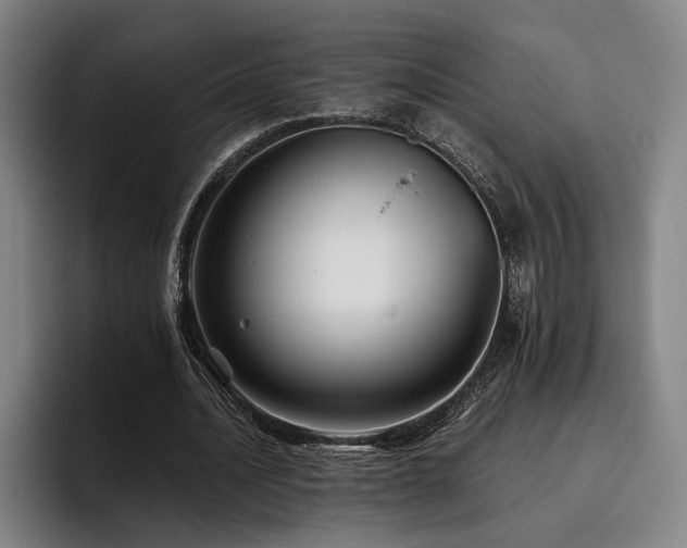 X0000093470628200710121425