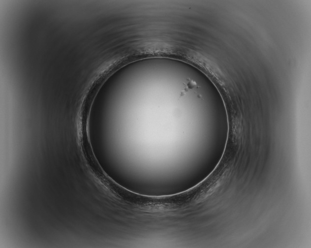 X0000093470629200710121425