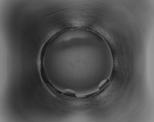 X0000093470630200710121425