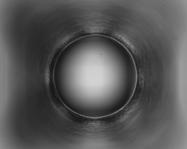 X0000093470631200710121425