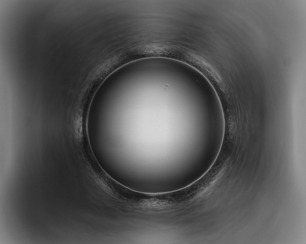 X0000093470633200710121425