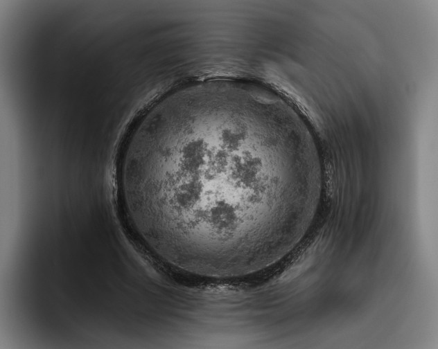 X0000093470634200710121425