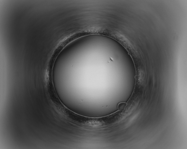 X0000093470636200710121425