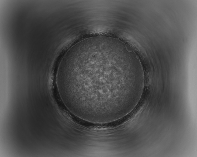 X0000093470640200710121425