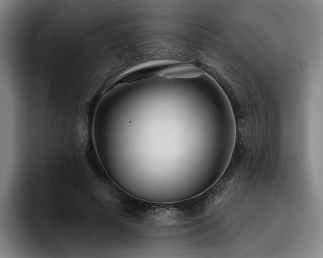 X0000093470642200710121425