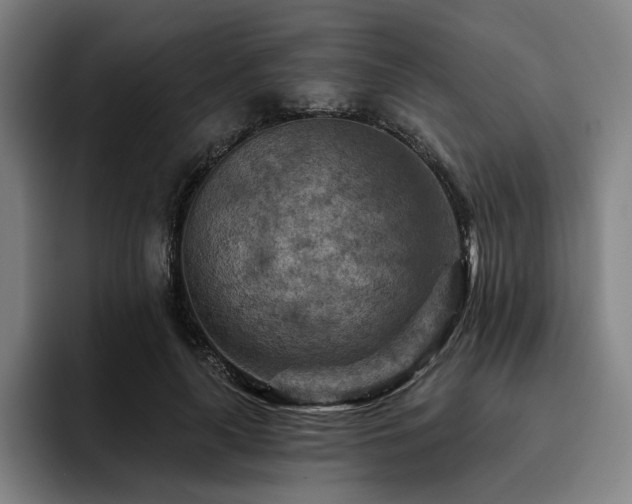 X0000093470643200710121425