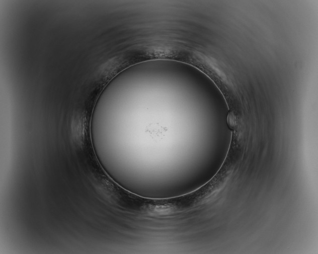 X0000093470645200710121425