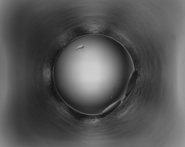 X0000093470646200710121425