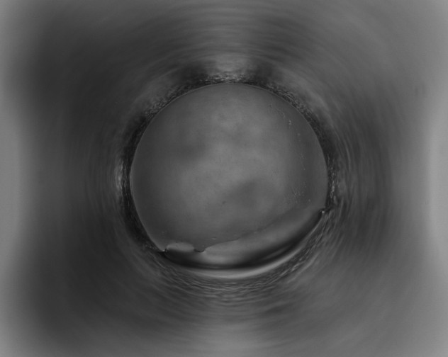 X0000093470647200710121425