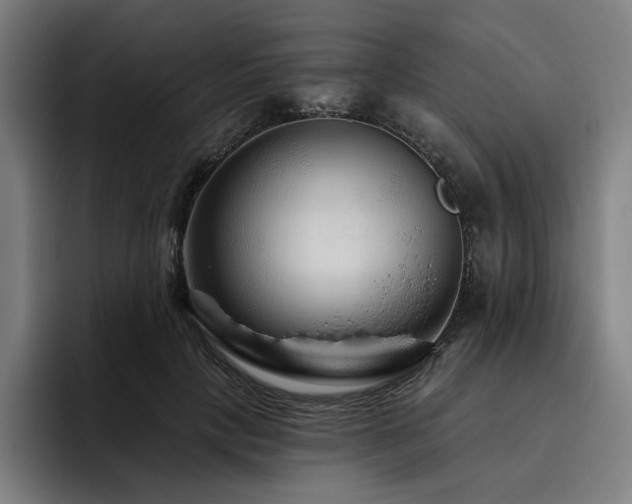 X0000093470649200710121426