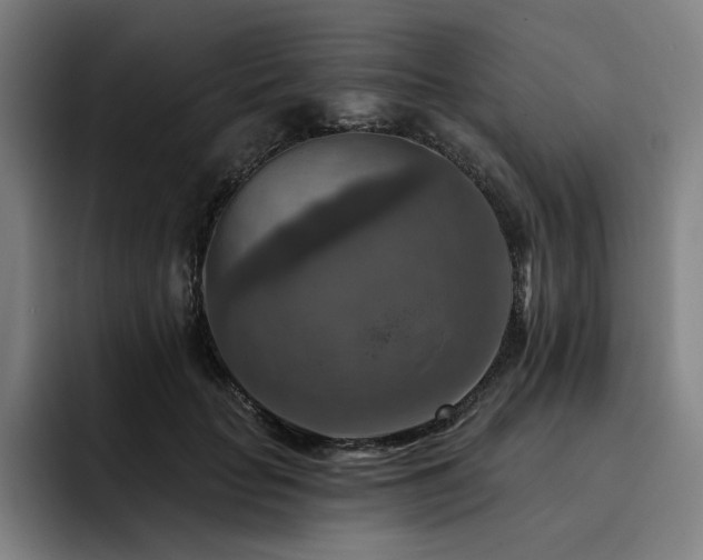 X0000093470653200710121426