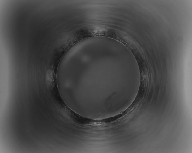 X0000093470654200710121426