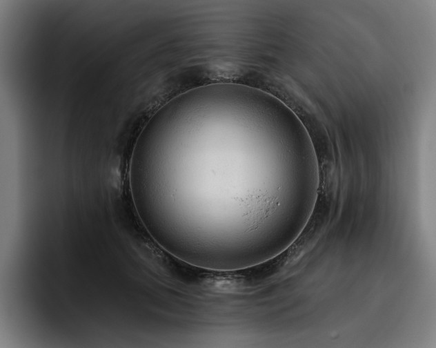 X0000093470655200710121426
