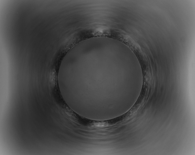 X0000093470659200710121426