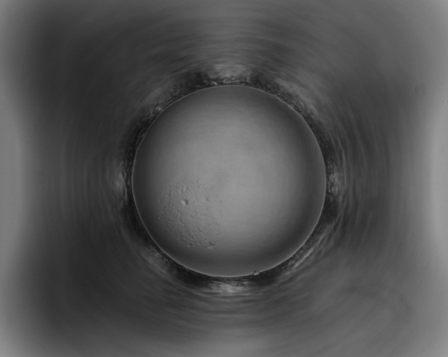 X0000093470662200710121426