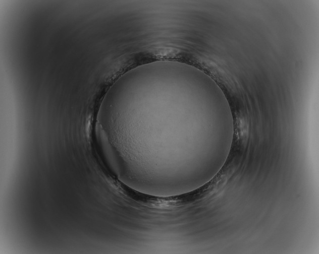 X0000093470664200710121426