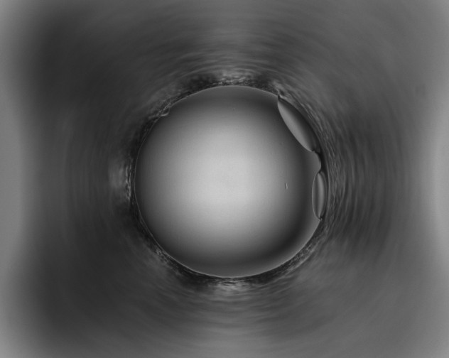 X0000093470666200710121426