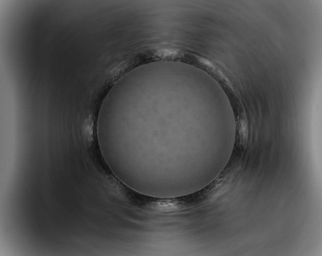 X0000093470668200710121426