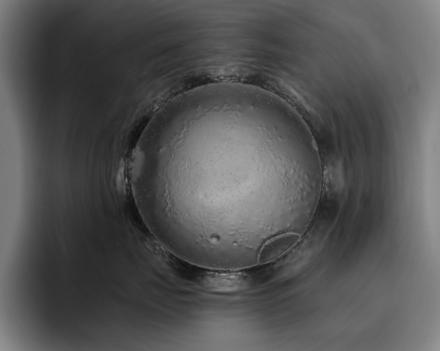 X0000093470671200710121426