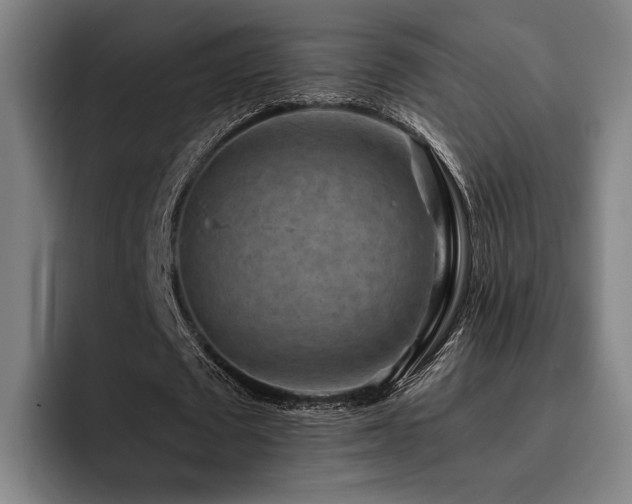 X0000093470673200710121425