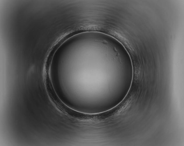 X0000093470674200710121425