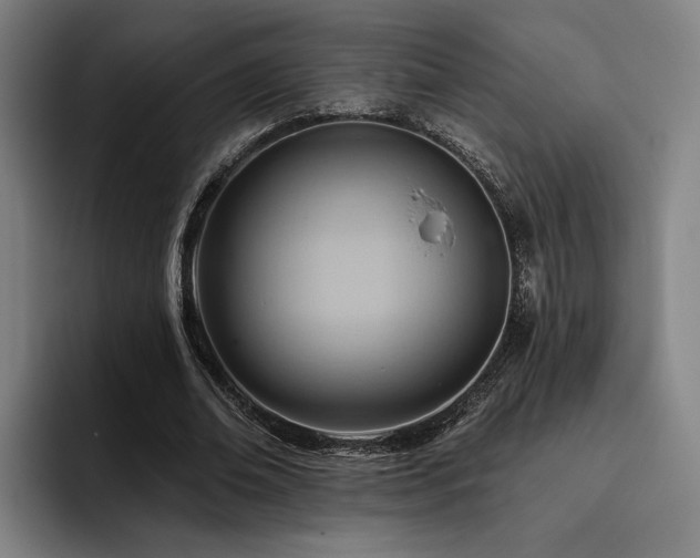 X0000093470678200710121425