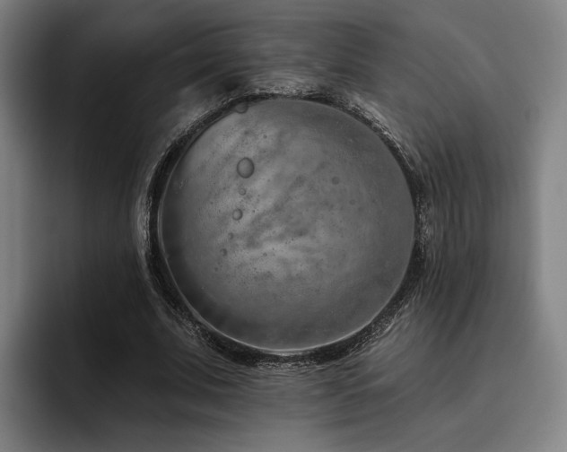 X0000093470679200710121425