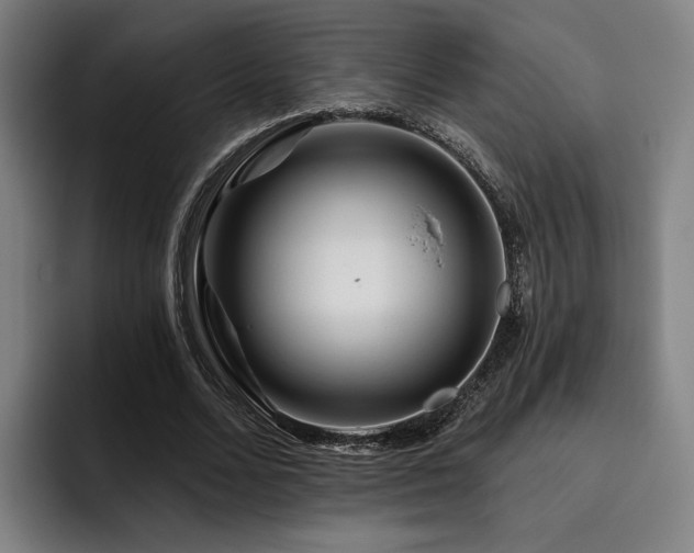 X0000093470680200710121425