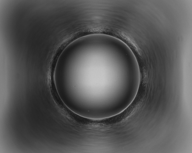X0000093470681200710121425