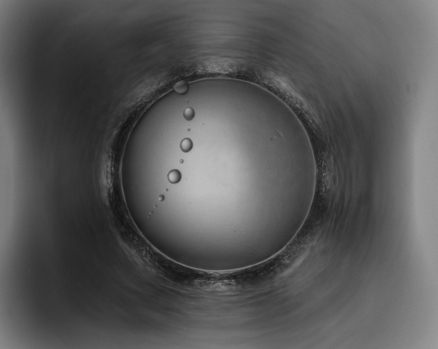 X0000093470683200710121425