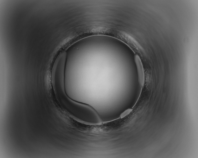 X0000093470684200710121425
